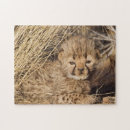 Search for baby cheetah puzzles Cat
