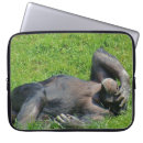 Search for chimps cases Funny