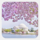 Search for cherry tree stickers Flower