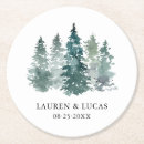 Search for spruce tree Forest