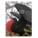 Search for beak notebooks Avian