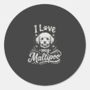 Search for maltipoo stickers Animal