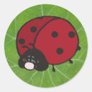 Search for lady luck stickers Ladybug