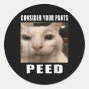 Search for funny cat meme stickers Black