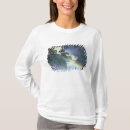 Search for blue mist clothing Africa
