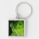 Search for chameleon key rings Green