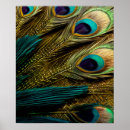 Search for blue feathers posters Teal