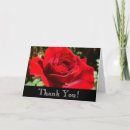 Search for bright red flower cards Nature