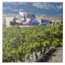 Search for basque tiles Alava