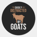 Search for funny goat stickers Vintage