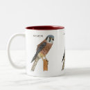 Search for kestrel mugs Falcon