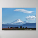Search for shasta posters California