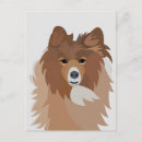 Search for sheltie postcards Pet