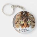 Search for forgotten key rings Remembrance