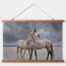 Search for wild stallion art Ranch