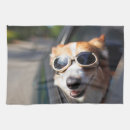 Search for corgi tea towels Pembroke welsh corgi