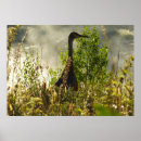 Search for sandhill posters Photography