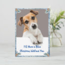 Search for jack russell christmas cards Puppy