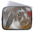 Search for lop electronics Cute