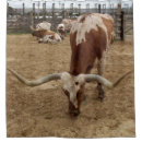 Search for cow shower curtains Texas