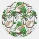 Search for coconut fruit stickers Hawaiian