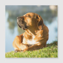 Search for shape business stationery Dog