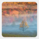Search for misty stickers Orange