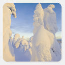 Search for usa ski stickers Skiing