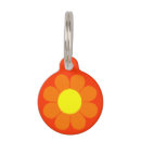 Search for power pet supplies Daisies