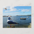 Search for nautical boat postcards Seagulls
