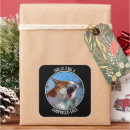 Search for angry animal stickers Pet