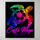 Search for mayan history posters Costa maya mexico