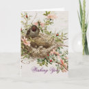 Search for vintage birds nest cards Nature