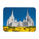 Search for lds magnets Faith