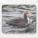 Search for cute chick mousepads Animals