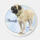 Search for mastiffs magnets Dog