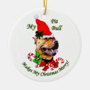 Search for pit bull christmas tree decorations Pet