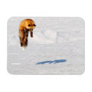 Search for leaping magnets Winter