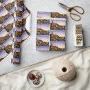 Search for congress gift wrap Bridge