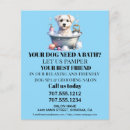 Search for dog grooming promotion flyers Pets
