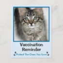 Search for veterinary postcards Pet health