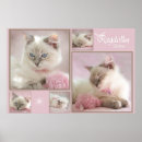 Search for cute tabby cat posters Fluffy