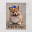 Search for loyal postcards Cute