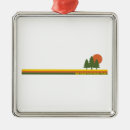 Search for big bend national park christmas tree decorations Desert