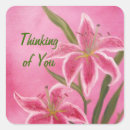 Search for stargazer stickers Lilies