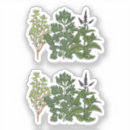 Search for garden herb stickers Gardening