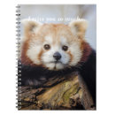 Search for red panda notebooks Himalayas