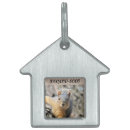Search for squirrel pet supplies Wildlife
