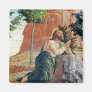 Search for agony magnets Mantegna