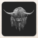 Search for highland cow coasters Wildlife